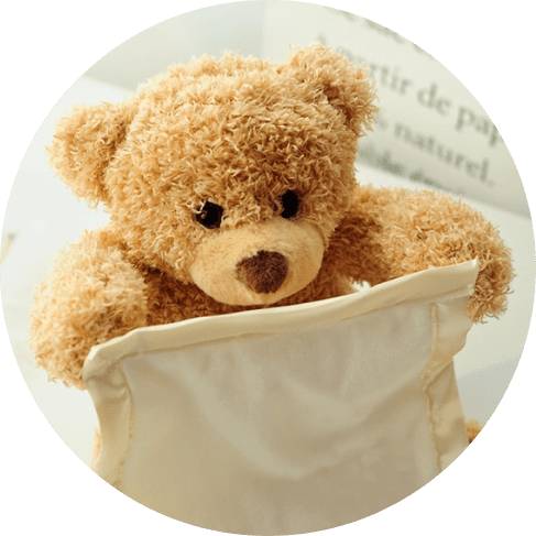 Peekaboo Talking Plush Bear