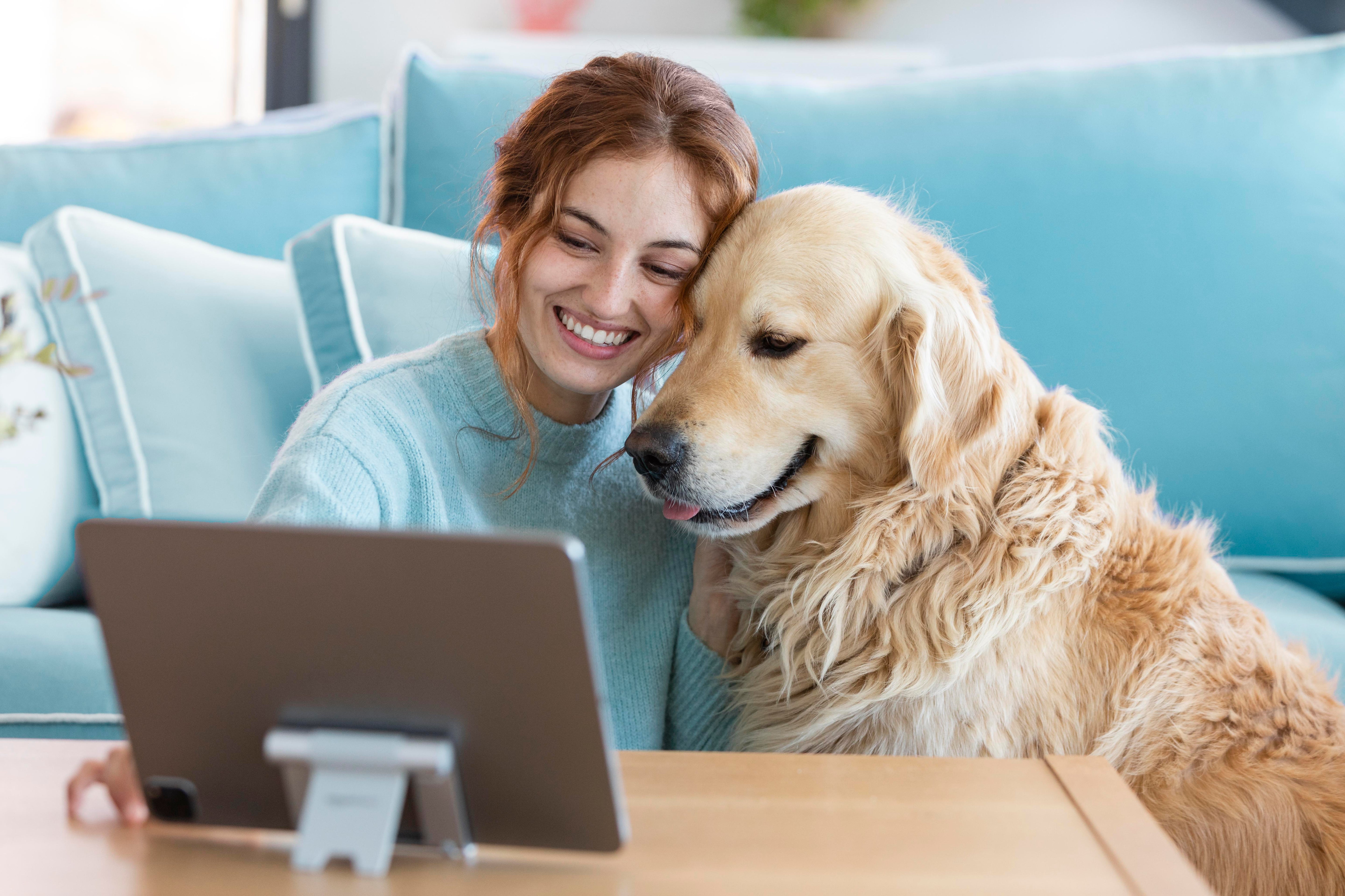 Pets