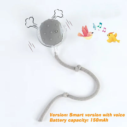 Interactive Rolling Ball Toy for Cats & Dogs