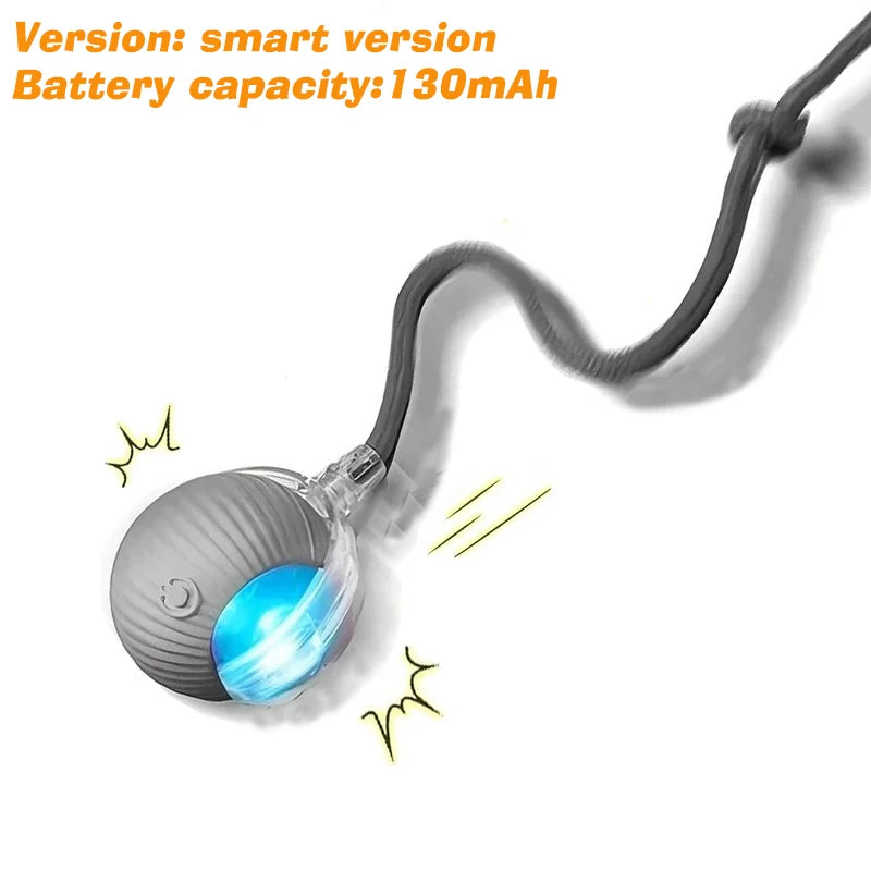 Interactive Rolling Ball Toy for Cats & Dogs