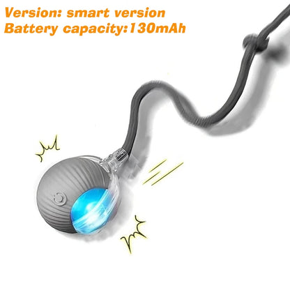 Interactive Rolling Ball Toy for Cats & Dogs