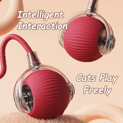 Interactive Rolling Ball Toy for Cats & Dogs