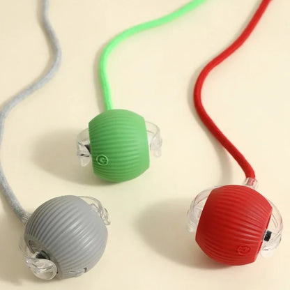Interactive Rolling Ball Toy for Cats & Dogs