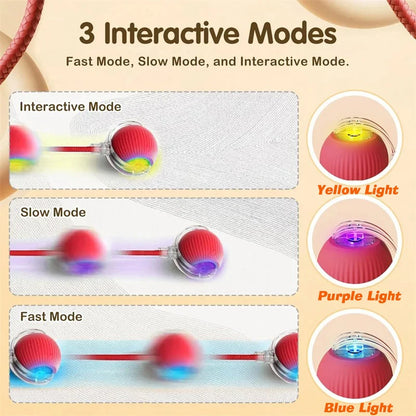 Interactive Rolling Ball Toy for Cats & Dogs