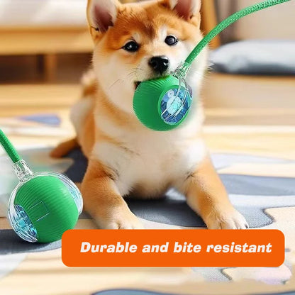 Interactive Rolling Ball Toy for Cats & Dogs