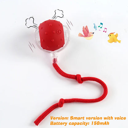 Interactive Rolling Ball Toy for Cats & Dogs