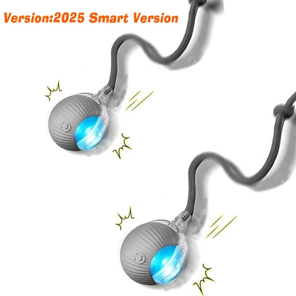 Interactive Rolling Ball Toy for Cats & Dogs