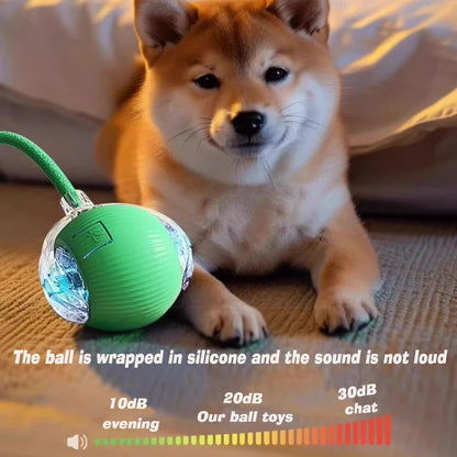Interactive Rolling Ball Toy for Cats & Dogs