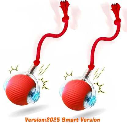 Interactive Rolling Ball Toy for Cats & Dogs