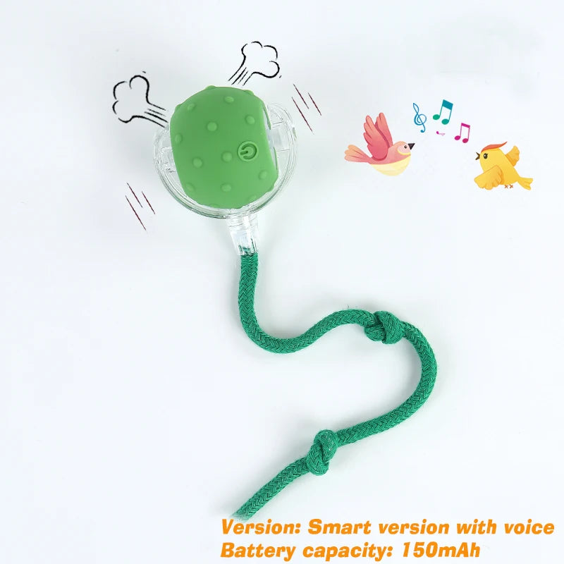 Interactive Rolling Ball Toy for Cats & Dogs