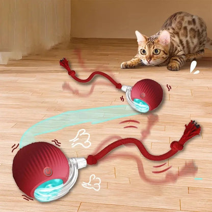Interactive Rolling Ball Toy for Cats & Dogs