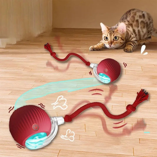 Interactive Rolling Ball Toy for Cats & Dogs