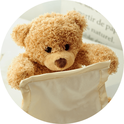 Peekaboo Talking Plush Bear