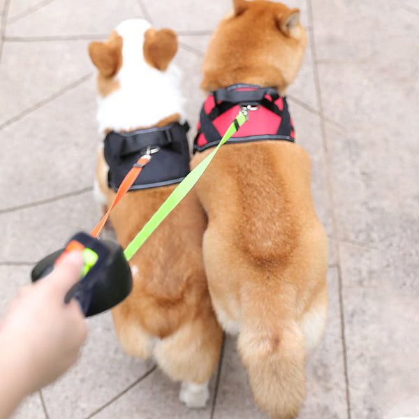 360° Dual Dog Leash